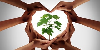 A group of hands in the shape of a heart around a small tree.