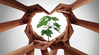 Hands making the shape of a heart around a sapling.